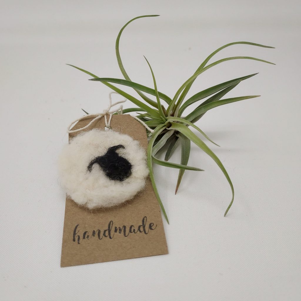 Sweet little sheep brooch