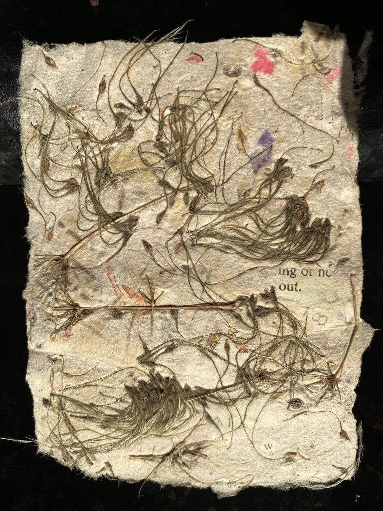 Workshop | Introduction to paper making